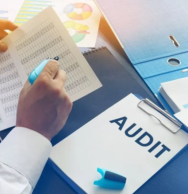 what-is-auditing